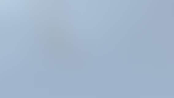 Blue Angels flyover Washington, D.C.