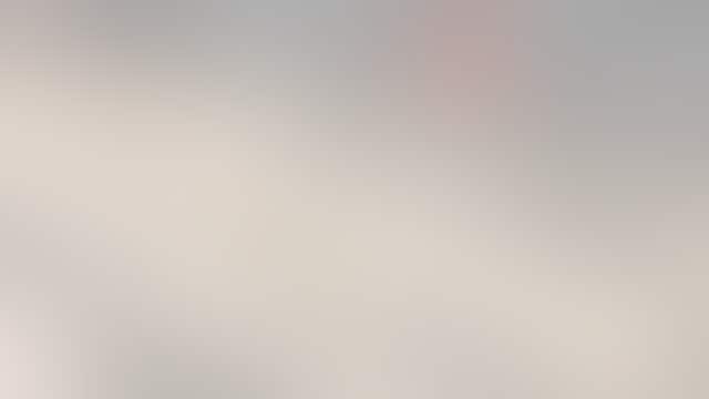 Horses in Walmart: 3 men, 1 teen charged with riding horses into store