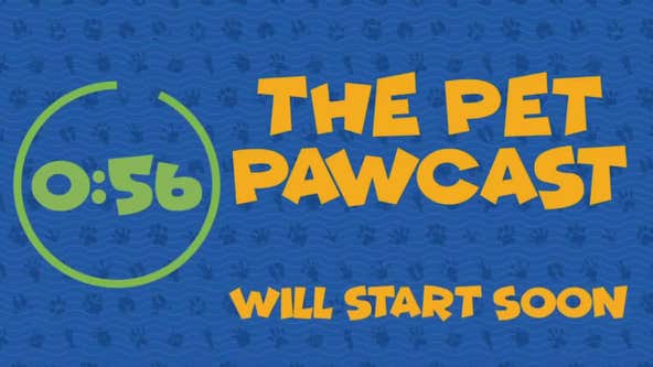 Pet Pawcast - Preparing your pets for disaster