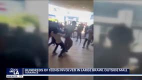 Hundreds of teens involved in large brawl at Del Amo Mall