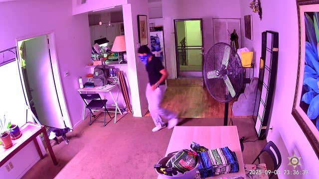 Person of interest sought in WeHo burglary