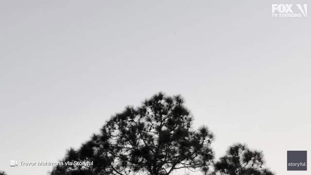 SpaceX Starship explodes during 8th flight test: Video