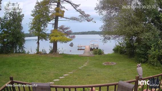 Dramatic video shows lightning strike exploding tree in Wisconsin