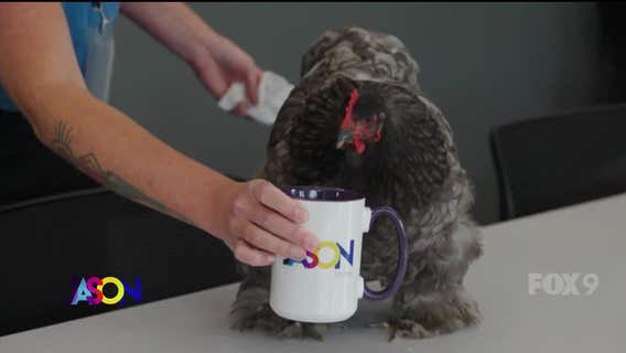 The Jason Show: June 7, 2023