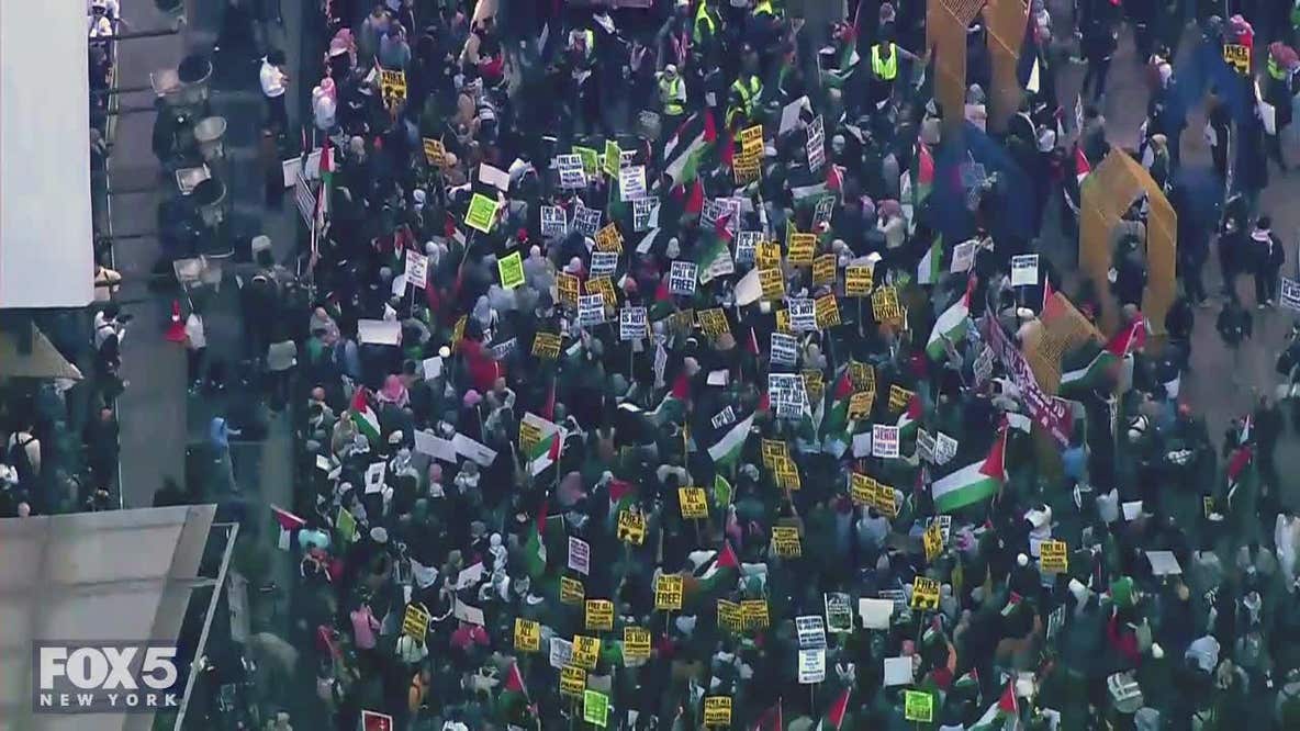 Raw: NYC pro-Palestinian rally seen from SkyFOX