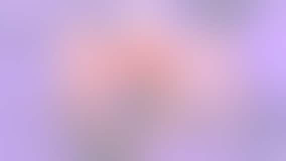 Watch: 'Cutest, spikiest, tiniest crab’ takes the internet by storm