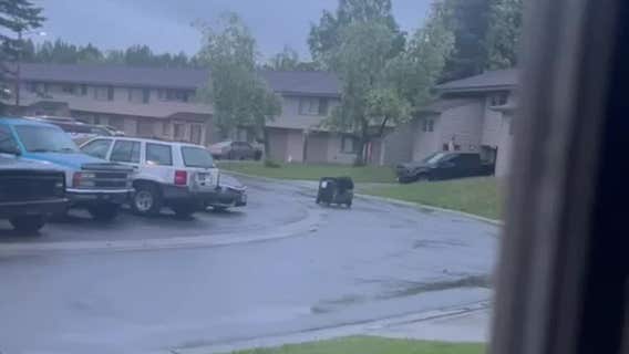 Woman mauled by bear while hiking on popular Alaska trail