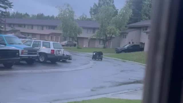 Woman mauled by bear while hiking on popular Alaska trail