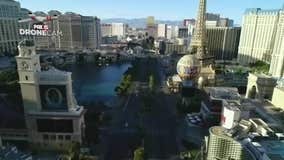 Las Vegas pigs once again dining on casino scraps