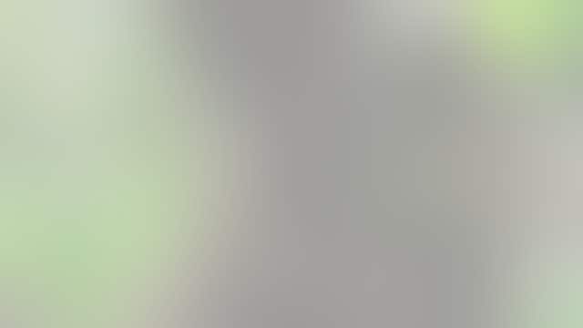 Thunderstorm sparks mysterious 2,000-mile journey for spooked California pup later found in Illinois