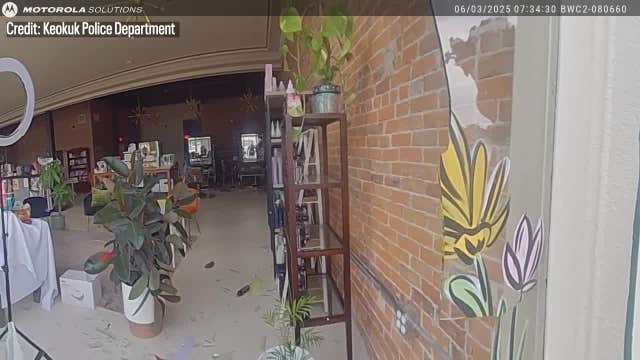 Watch: Deer trashes Iowa hair salon after breaking through window