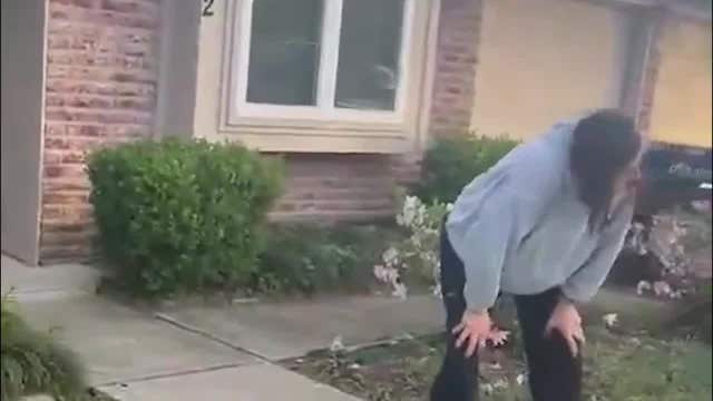 Watch: Astronaut Suni Williams reunites with her dogs after 9 months in space