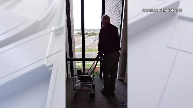 Watch: Adorable 93-year-old wins hearts with daily walks for his senior cat