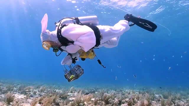 Egg shortage? Easter tradition gets a makeover with dyed potatoes