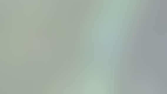 American man hijacks plane headed to popular Belize tourist town