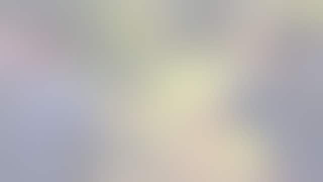 Colorado Springs firefighters rescue deer stuck in fence