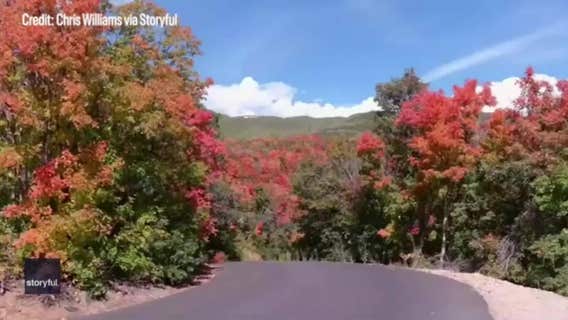 First taste of fall: Cold front to bring season’s coolest air to northern US