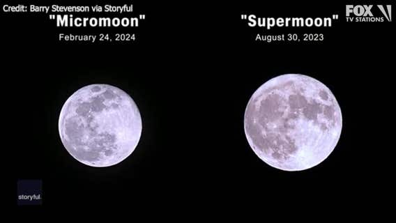 November stargazing guide: Brightest Supermoon of the year, dazzling pair of meteor showers