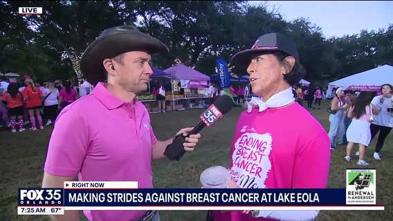Making Strides Against Breast Cancer