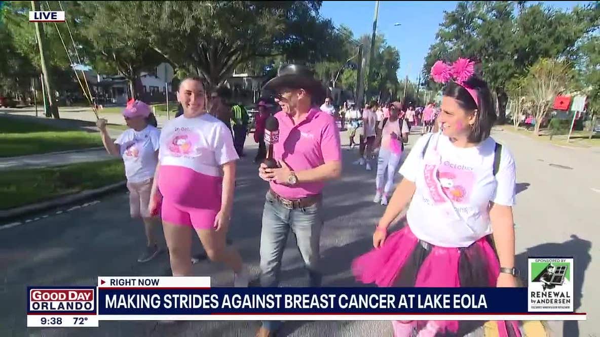 Making Strides Against Breast Cancer