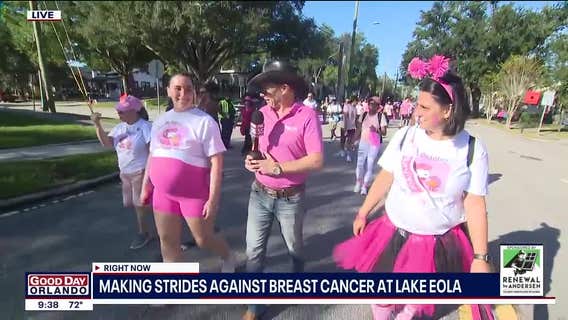 Making Strides Against Breast Cancer