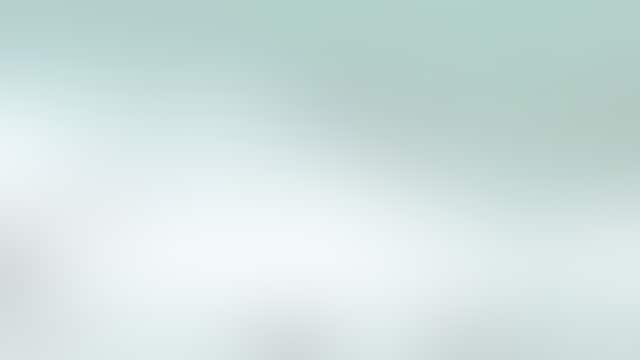 VIDEO: Florida shark, stingray get into tussle off the coast of Panama City Beach