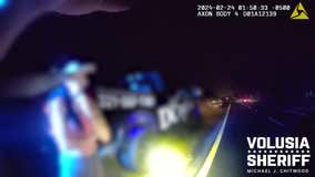 Body cam shows deputy get hit by car