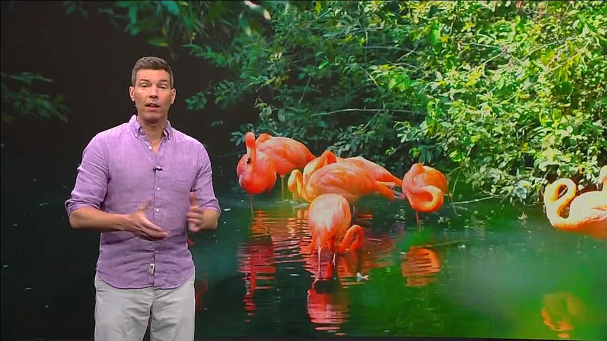 Florida Tonight: Episode 39