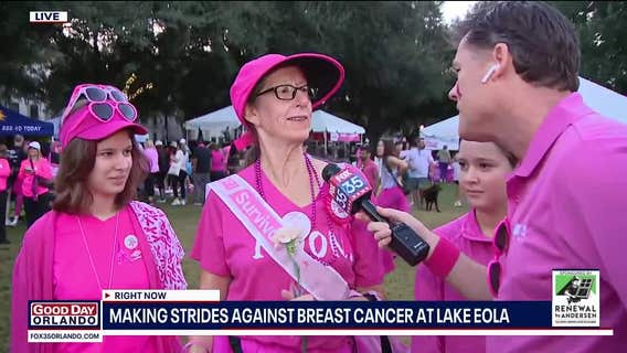 Making Strides Against Breast Cancer