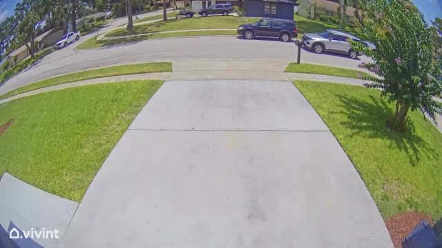 Former Olympic swim coach arrested in Florida, facing child sex abuse allegations