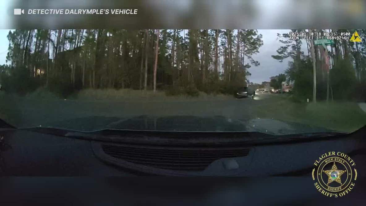 Repeat offender arrested for grand theft auto in Flagler Co.