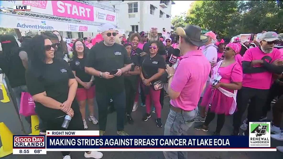 Making Strides Against Breast Cancer 2025