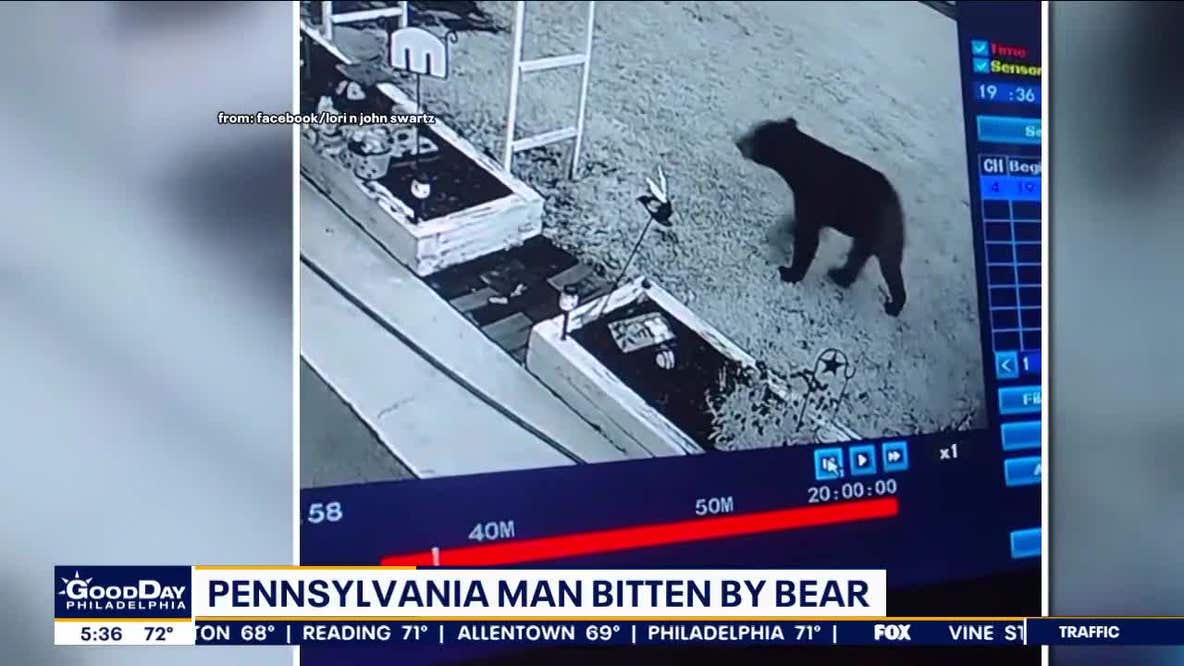 Pennsylvania man bitten on the head by bear during attack in his garage