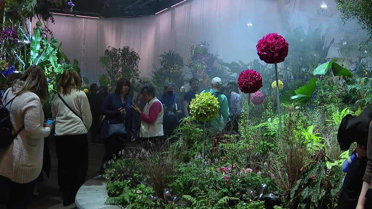 2023 Philadelphia Flower Show opens