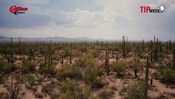 INSTANTLY Make Your Phoenix Home FEEL 10 DEGREES Cooler