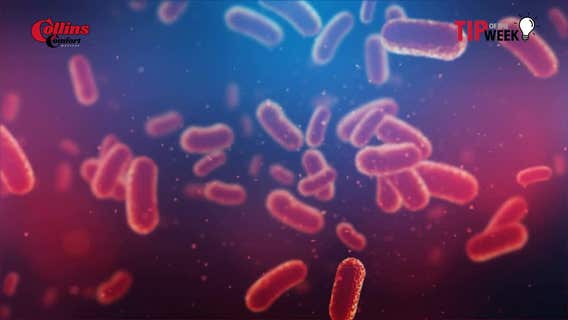 Stop Drinking Toxic Phoenix Water!