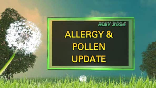 Pollen and allergy update for Bay Area | KTVU FOX 2