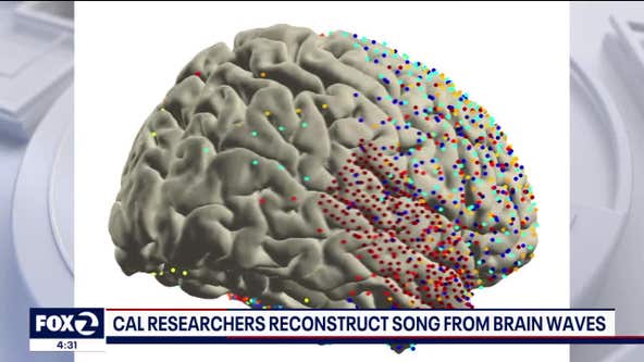 Scientists reconstruct Pink Floyd song by listening to people's brainwaves, Neuroscience