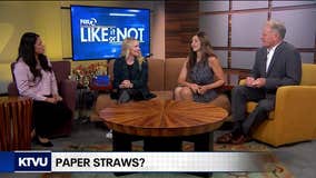 Are you okay with paper straws?