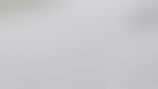 Tailless alligator seen waddling across road in Southern Louisiana