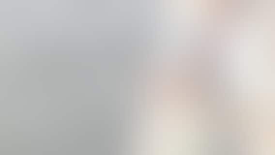 Dad feels like 'coolest Papi' while introducing daughter to dolphin pal