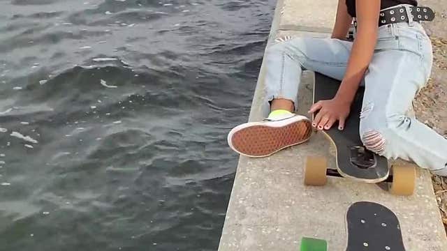 Dad feels like 'coolest Papi' while introducing daughter to dolphin pal