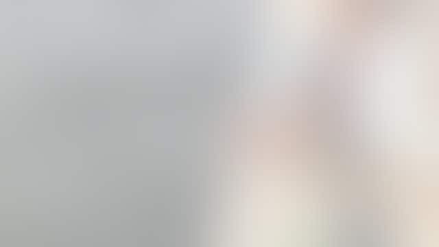 Dad feels like 'coolest Papi' while introducing daughter to dolphin pal