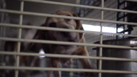 Open Record: End of the Line