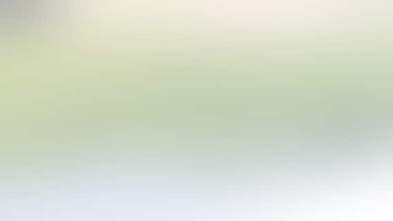 Racine school bus, city bus crash, Goold and Shoop