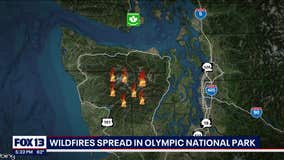 Wildfires spreading in ONP