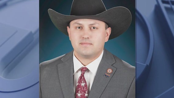 Former state lawmaker pleads guilty to forging signatures