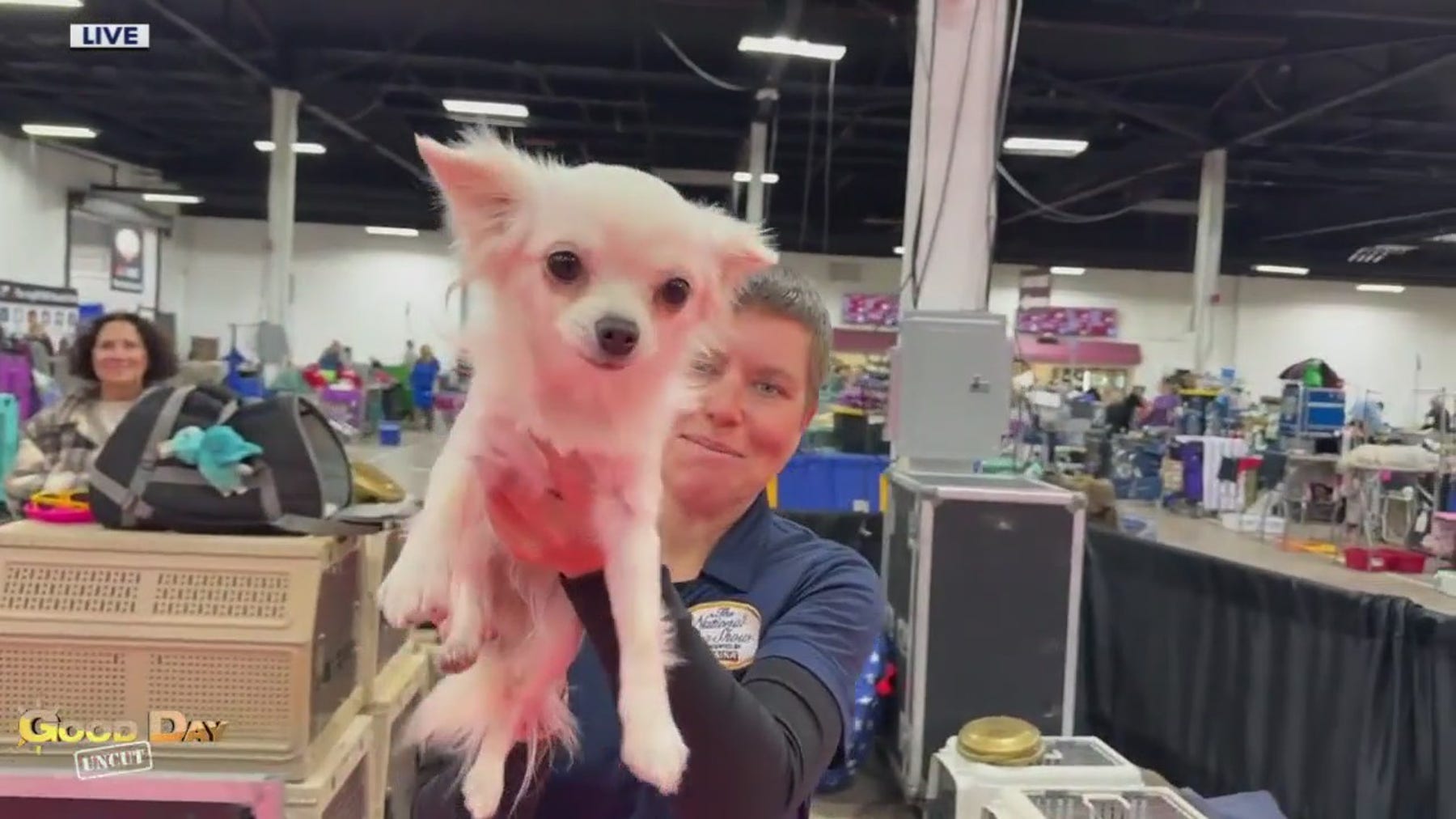 Good Day Uncut: The National Dog Show