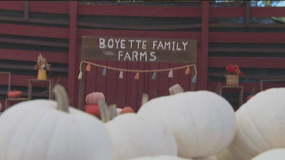 Local farmers serving their community