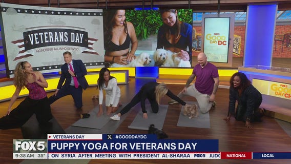 Puppy Yoga for Veterans Day